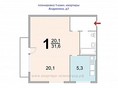 1 к. квартира п. Андреевка, д. 1